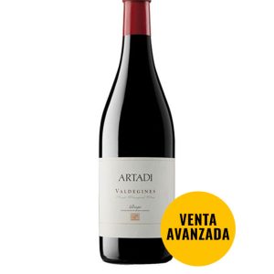 Artadi Valdegines 2019 Magnum
